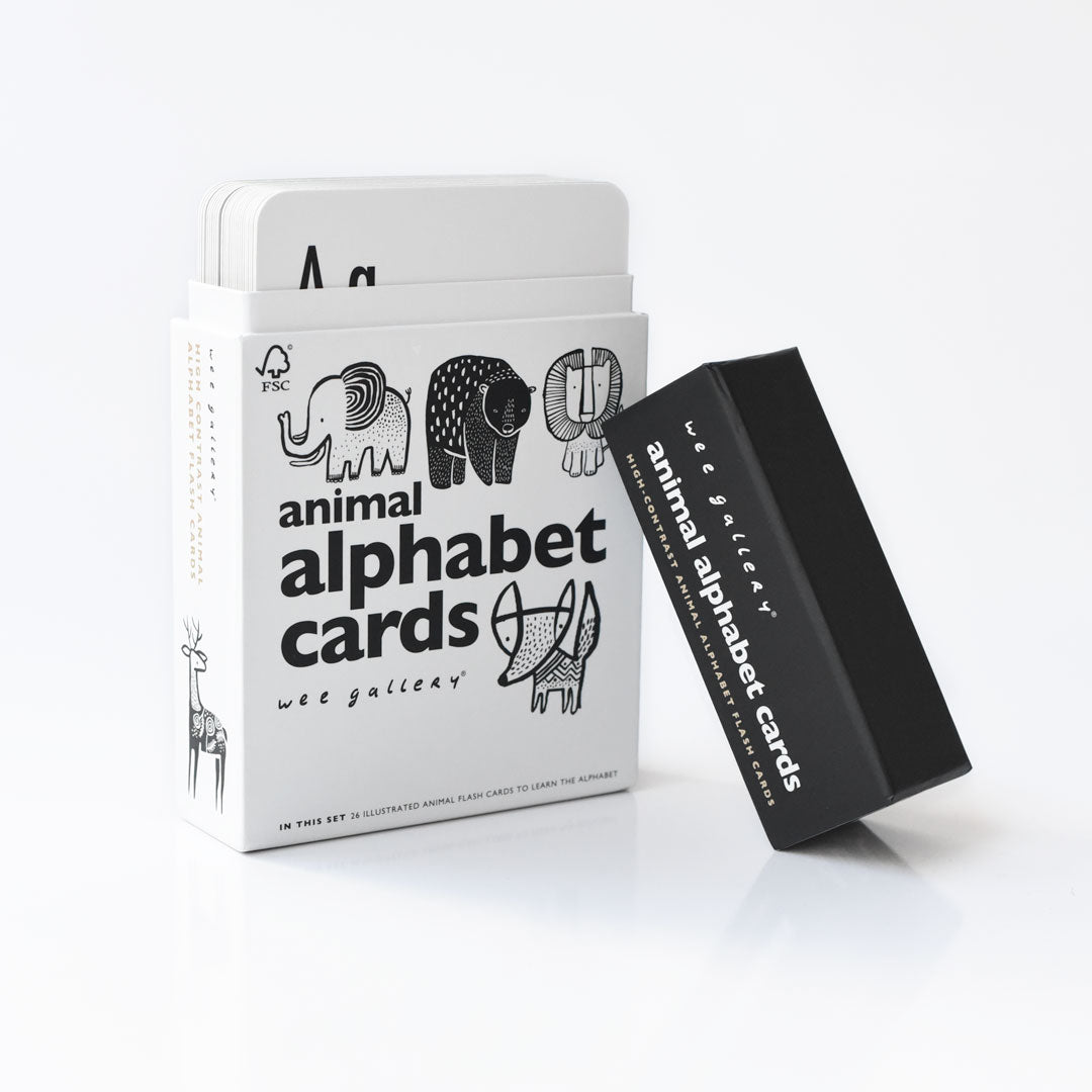 Alphabet Adventure Bundle - Norman & Jules