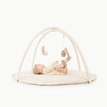 Baby Activity Gym - Norman & Jules