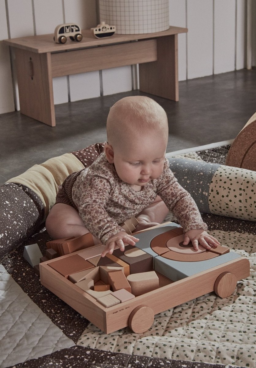 WOODEN RAINBOW WAGON WITH BLOCKS - Norman & Jules