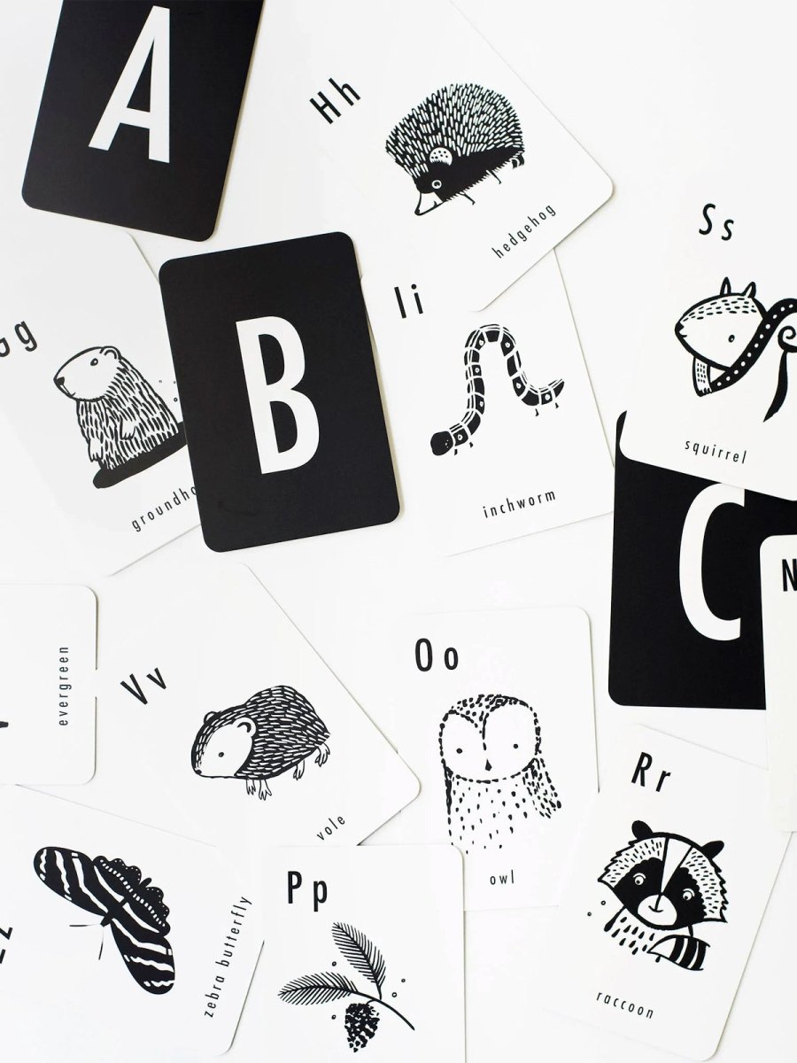 Woodland Alphabet Cards - Norman & Jules